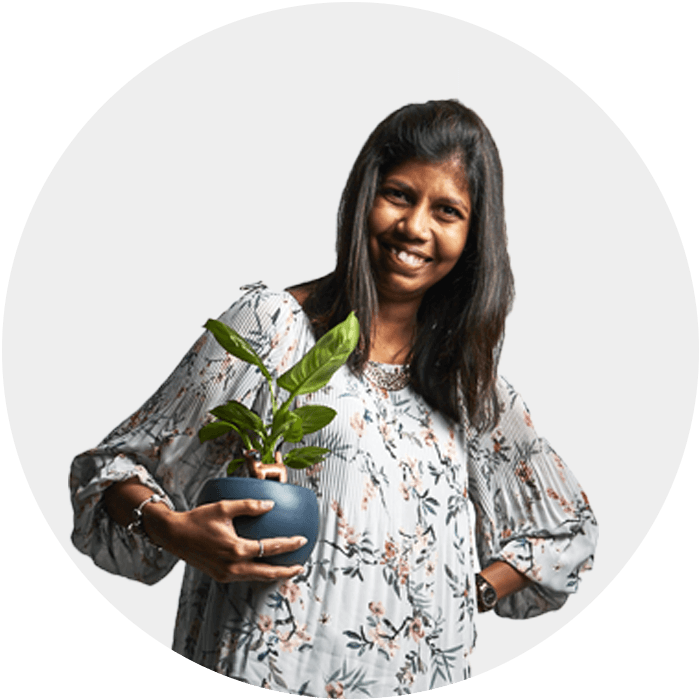 steffi wordpress designer from goa